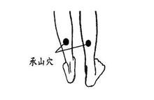 忙里偷闲进行穴位按摩，达到防病祛病，养生保健