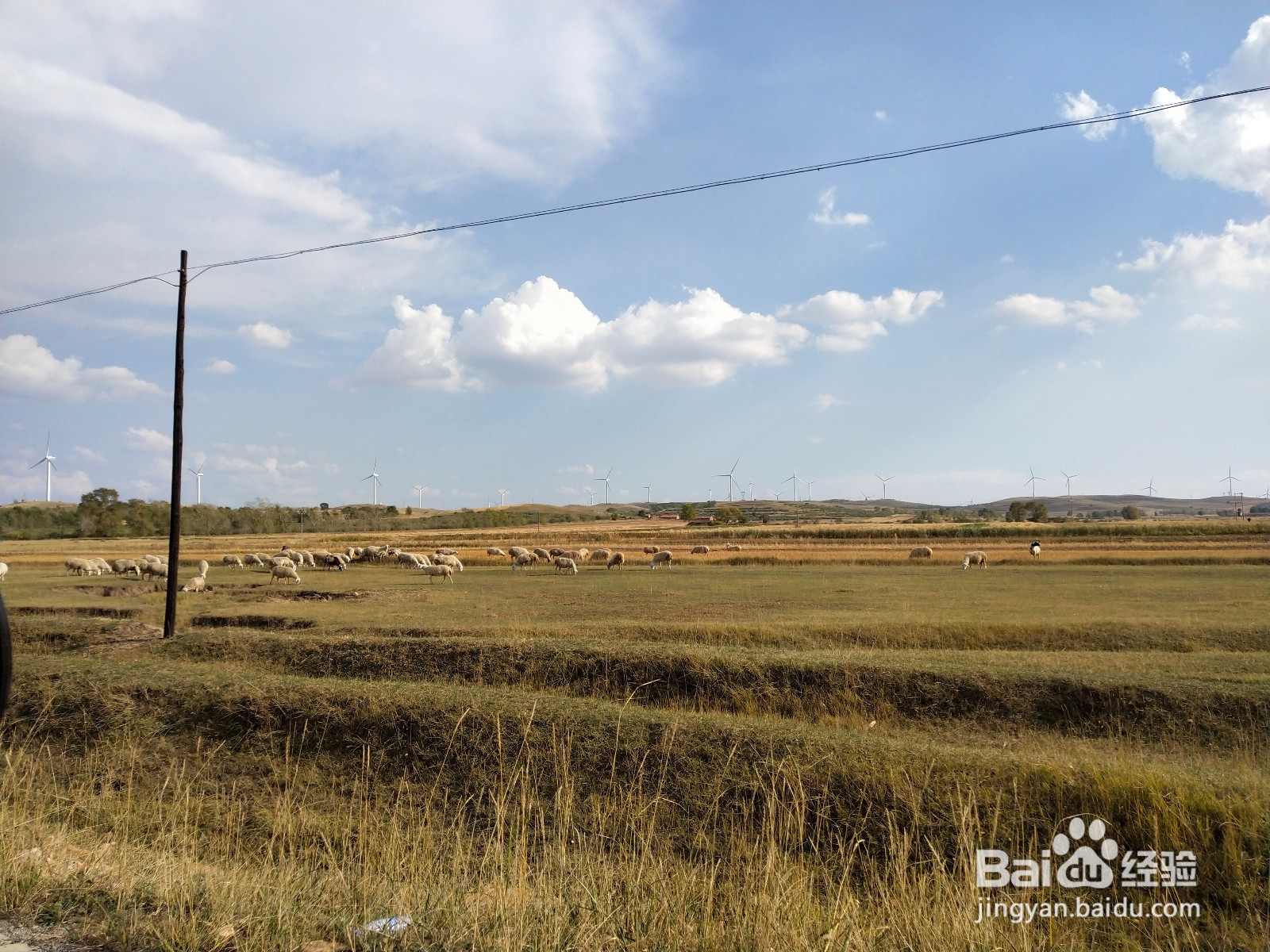 草原天路自驾路线地图