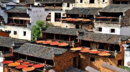 婺源篁岭怎么去