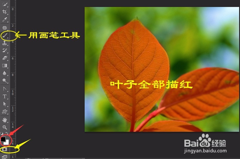 PS实例:抠图方法、技巧集合(二)