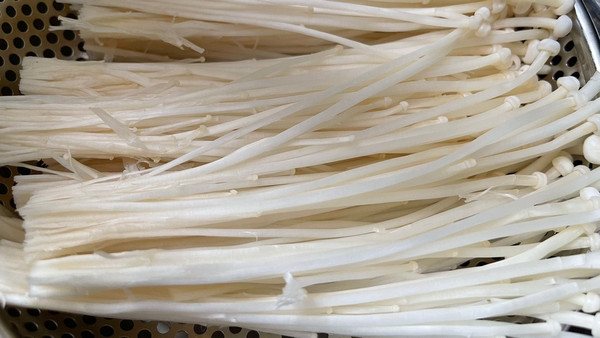 火焰金针菇牛肉盖饭