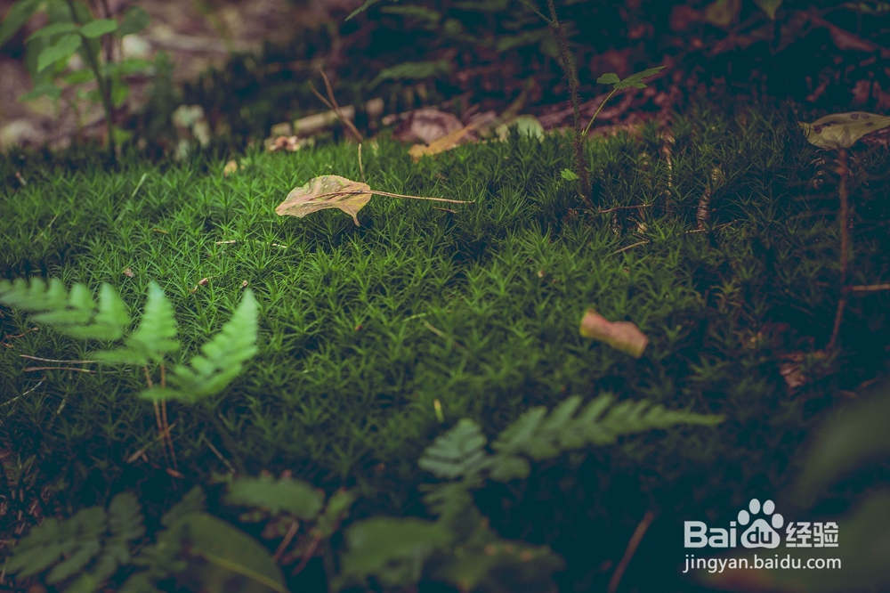 如何把握机遇，成为更好的自己