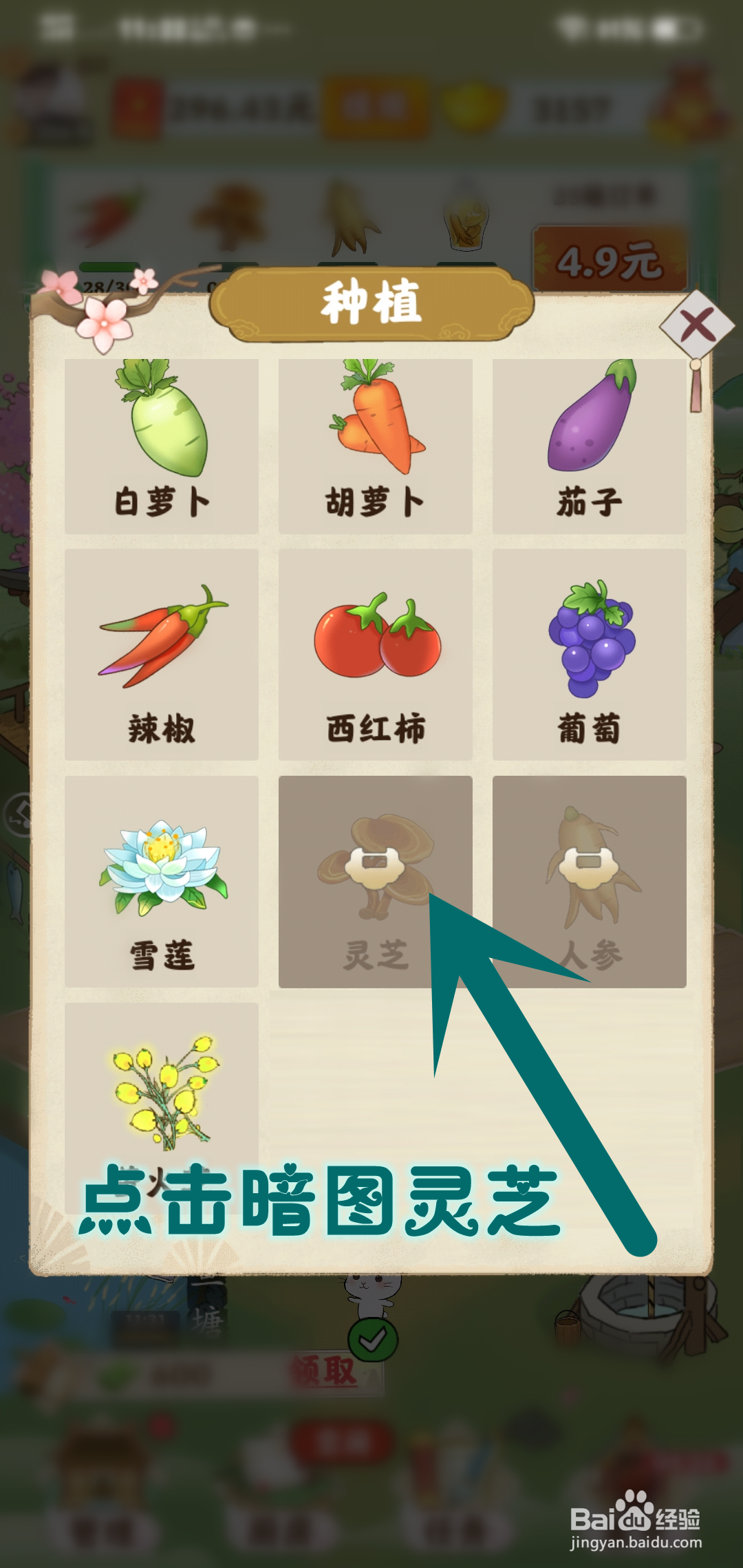 如何在仙山小筑游戏里种植灵芝药材