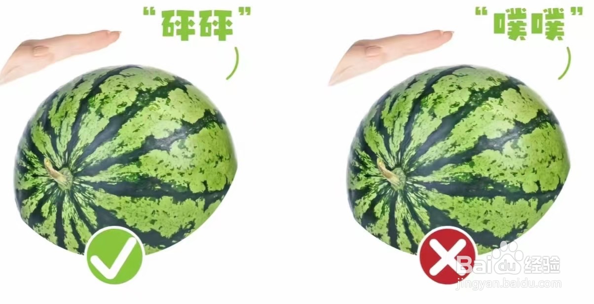 怎么选择又甜又沙的西瓜