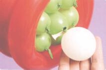 魔法气球造型系列之小花盆