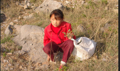 申春玲原型是什么