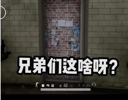 这啥啊这是有人吗是什么梗