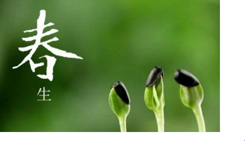 描写春天的诗句