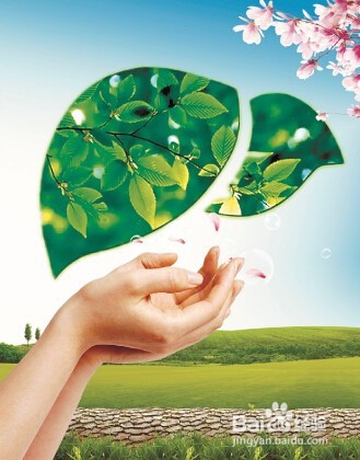 养肝护肝少吃2黑,多吃1白