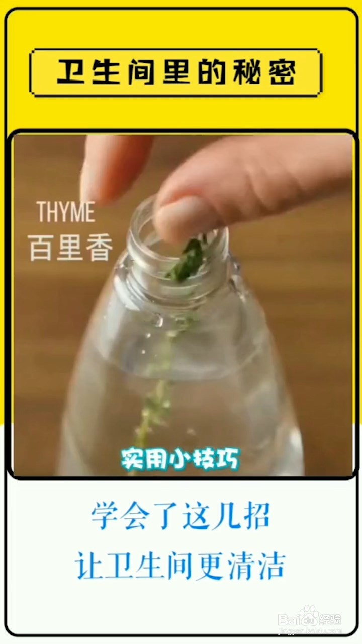 卫生间马桶太脏了，教你一招轻松清洗它！