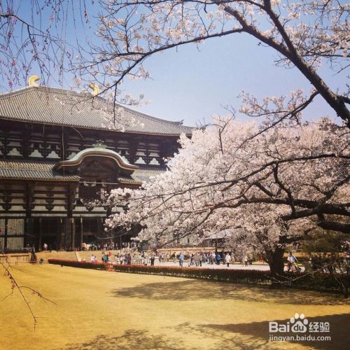 奈良市旅游攻略 百度经验 奈良市旅游攻略 百度经验
