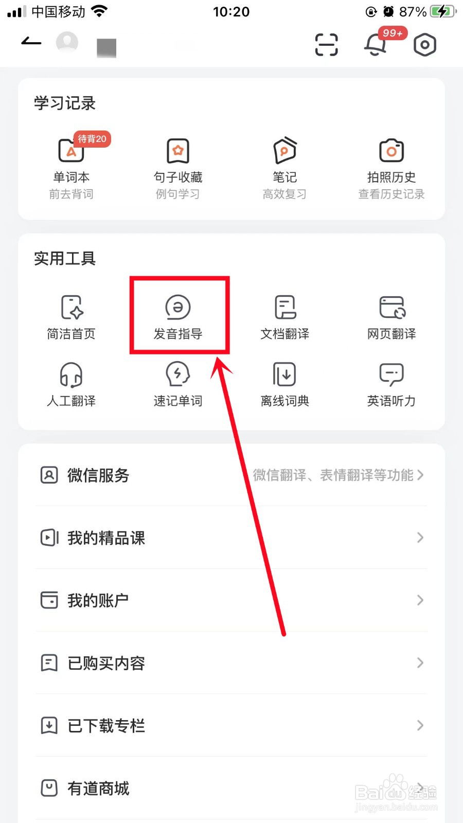 网易有道词典怎样获得发音指导