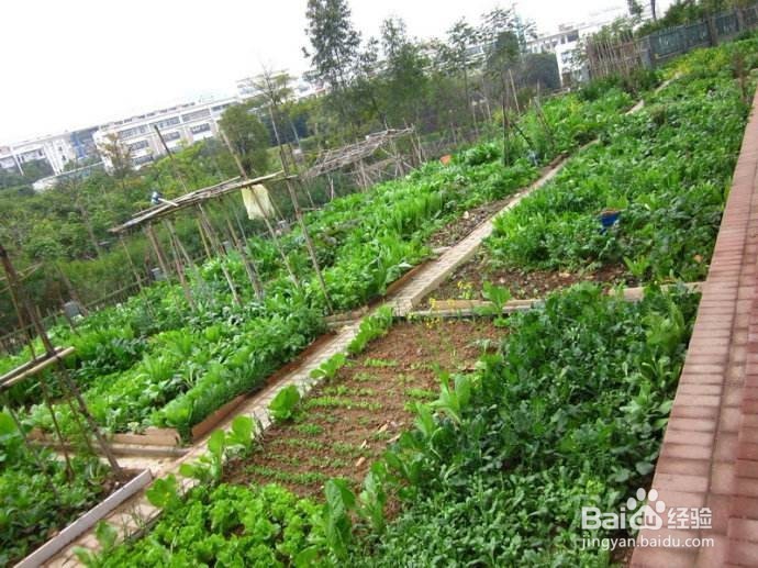 孩子刚上小学有必要报兴趣班吗？