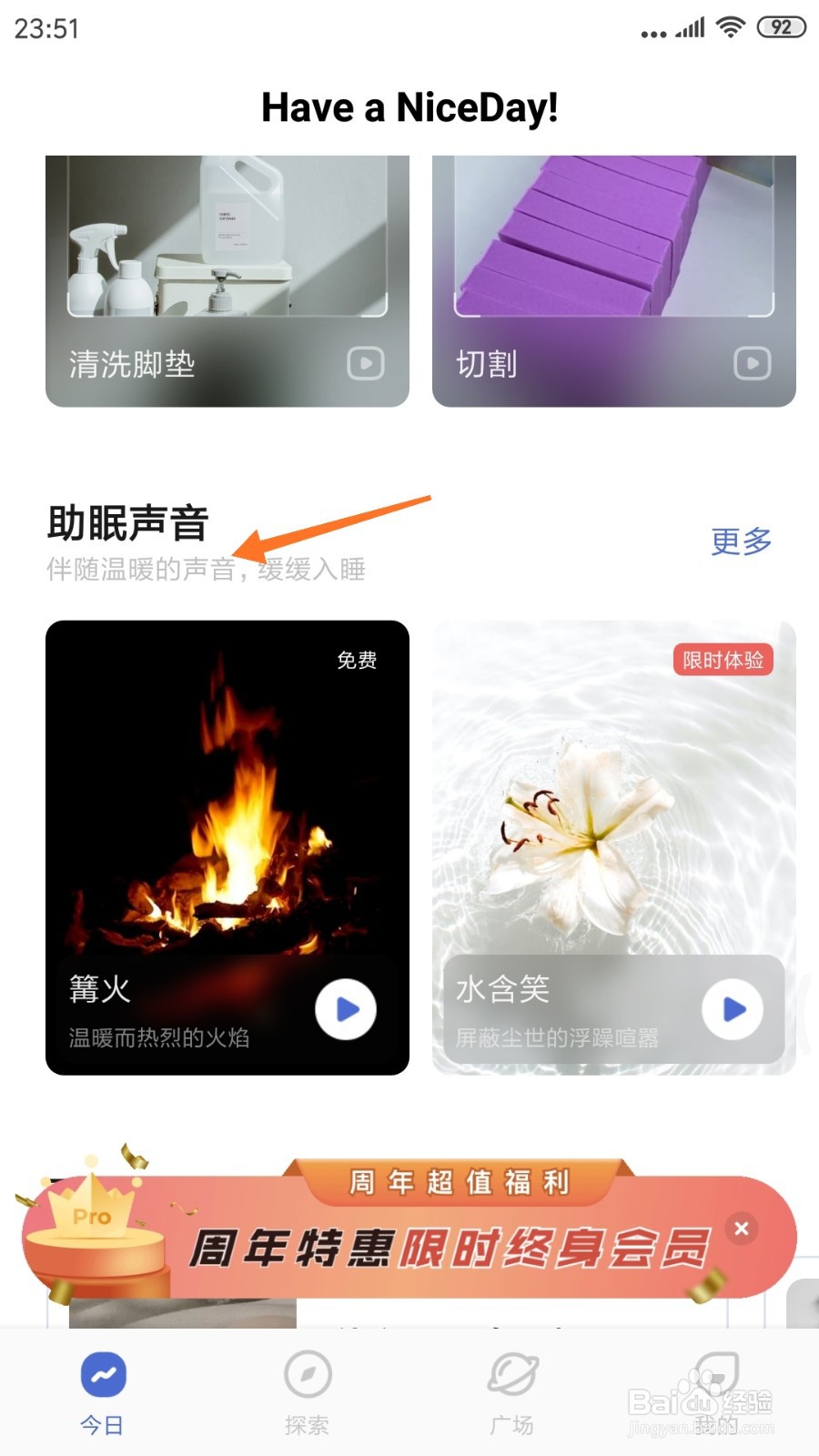 NiceDay中哪里查看丛林夜晚