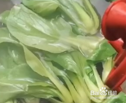 香菇青菜怎么做