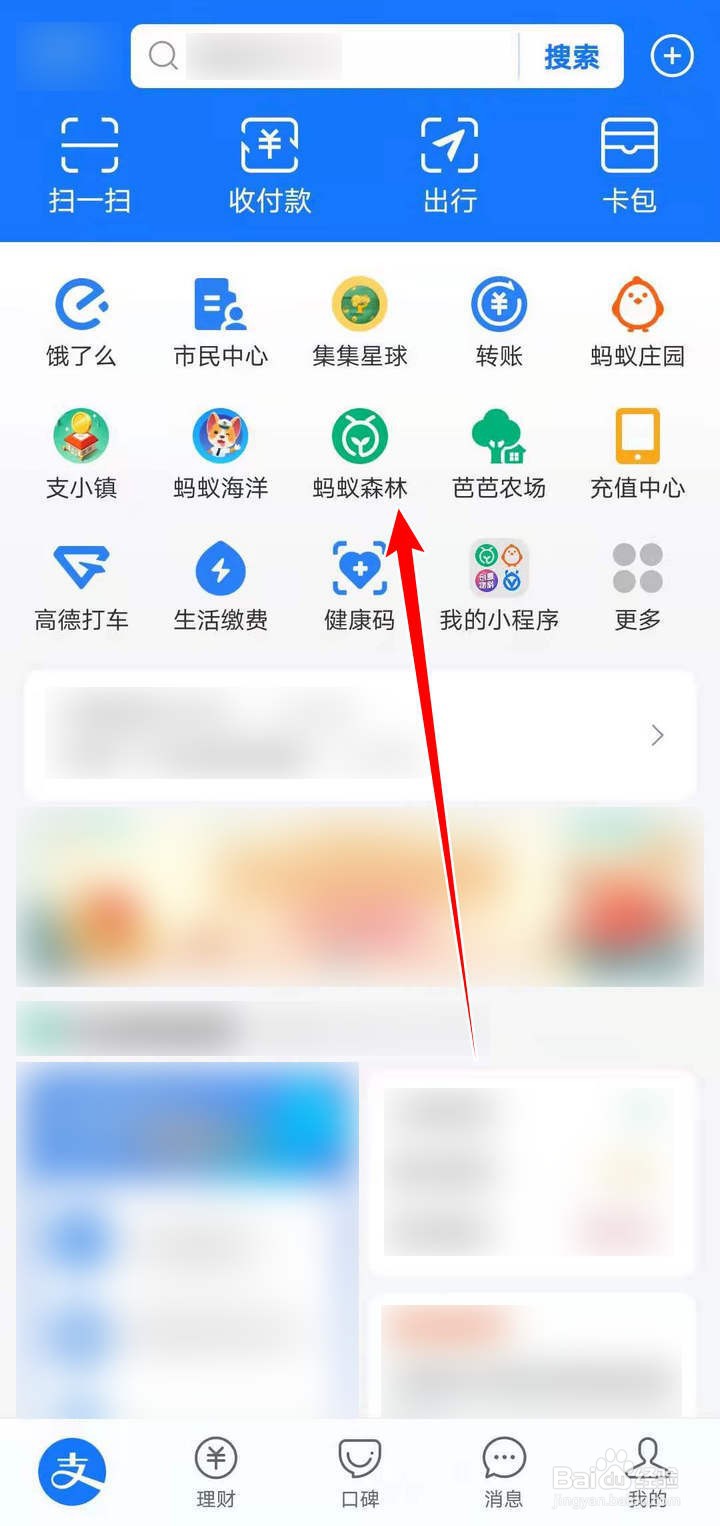 支付宝蚂蚁森林的生物短视频征集赛如何参加