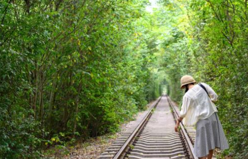 青草丛中隐藏着一条倾斜的隧道如何缩句