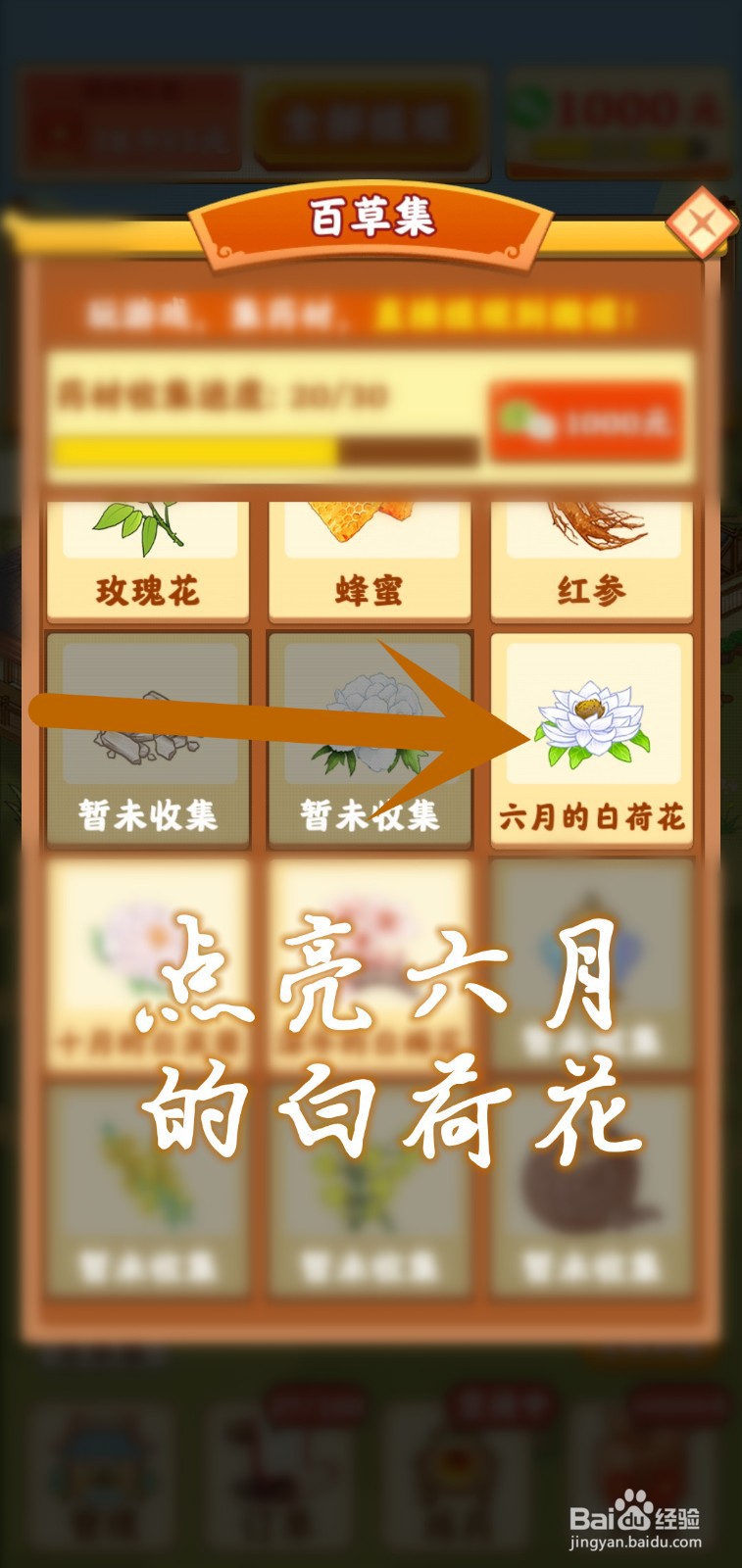 神农百草园怎么点亮百草集六月的白荷花