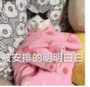 如何选择溶脂针才能有效减脂呢？