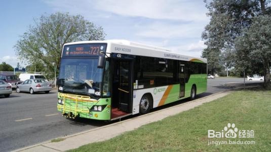 猫咪挠了出血了怎么办