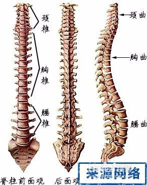 怎样学好医学