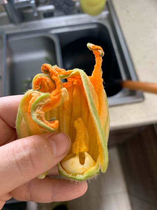 清甜上汤南瓜花