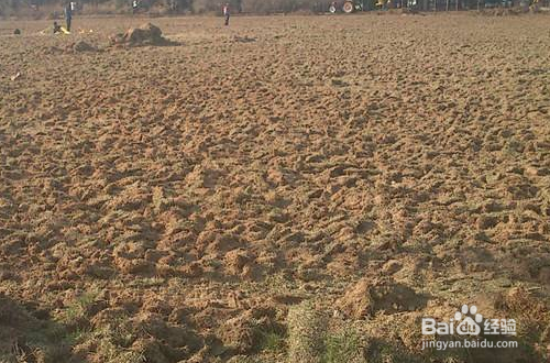 如何引进白色家电企业