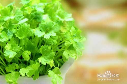 我的养生经验杂谈：[7]各类蔬菜的营养价值