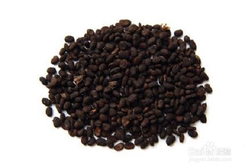 补骨脂的作用以及食用禁忌