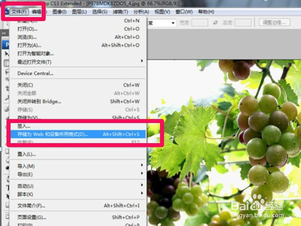 把不同大小的图片在PS中改成自己需要的大小图片