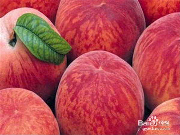 桃子表皮长了锈斑还能吃吗