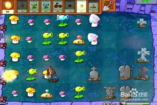 植物大战僵尸通全关的攻略。（十六第2---6关）