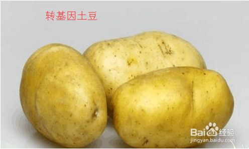 手把手教你鉴别转基因食品 百度经验