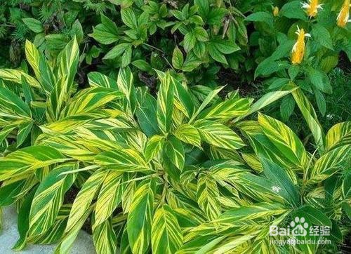 甲醛的危害有哪些？