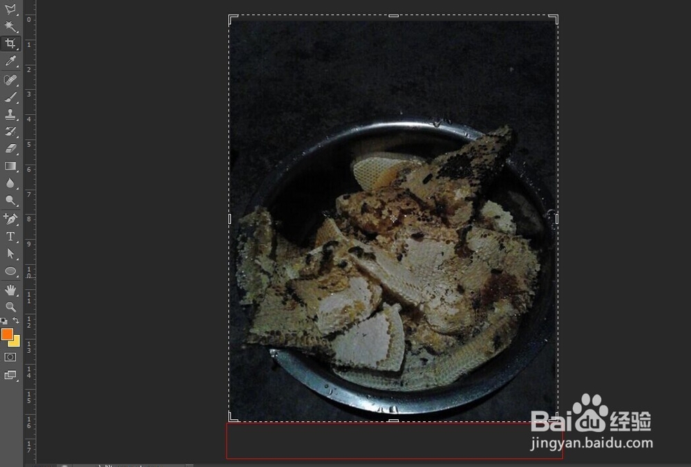 PS裁剪工具怎么使用