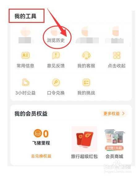 飞猪旅行如何再次查看近期的浏览历史？