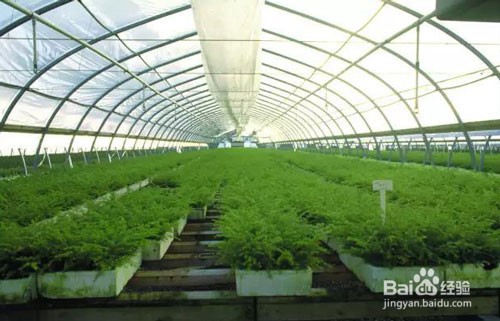 改良土壤的方法