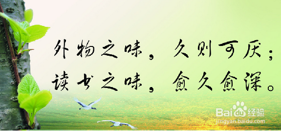 程序员如何脱光：[1]外在篇