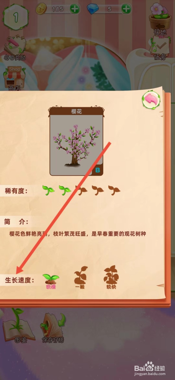 花花姑娘如何查看樱花的【生长速度】