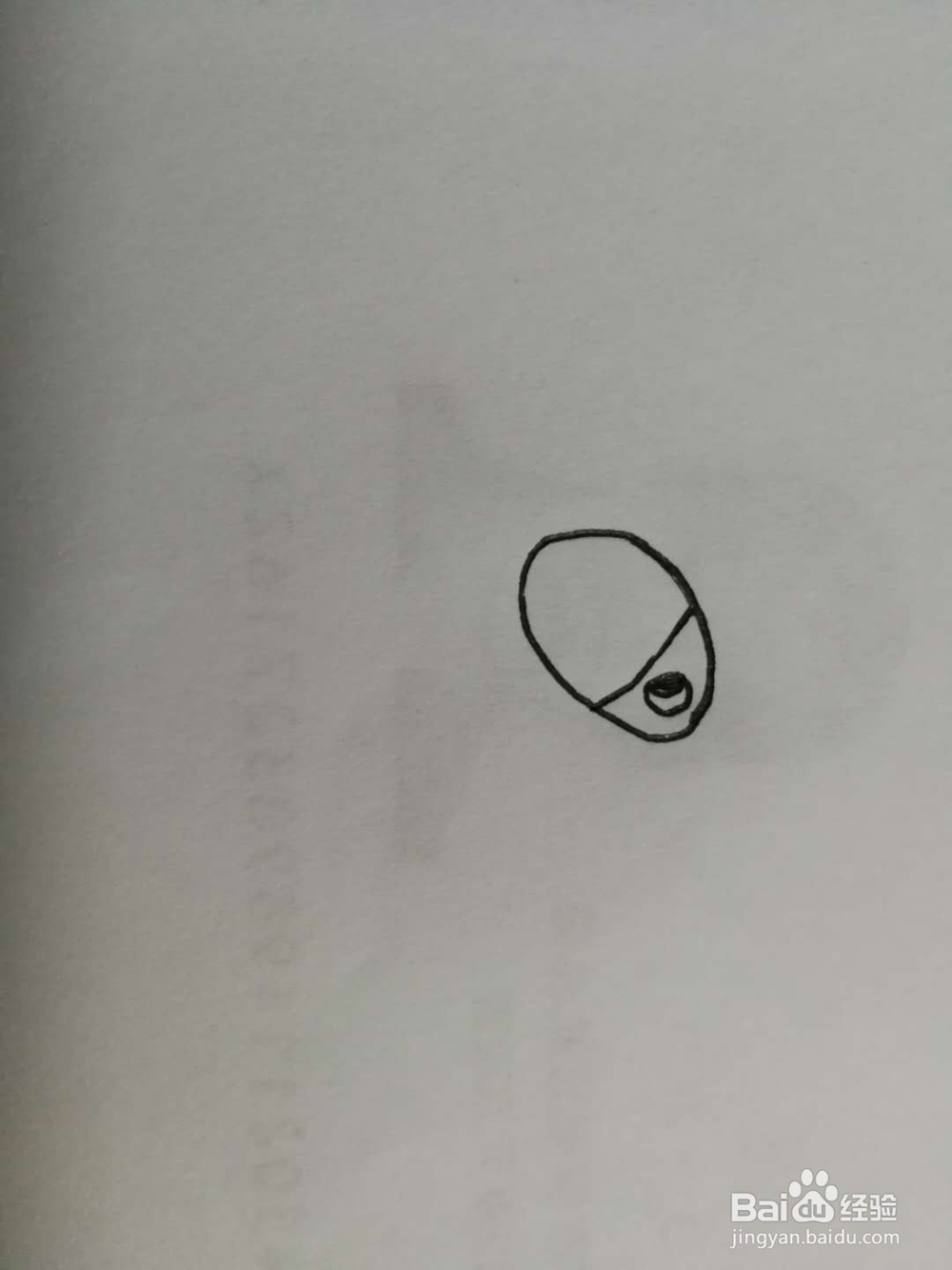 简笔画得意的小毛驴