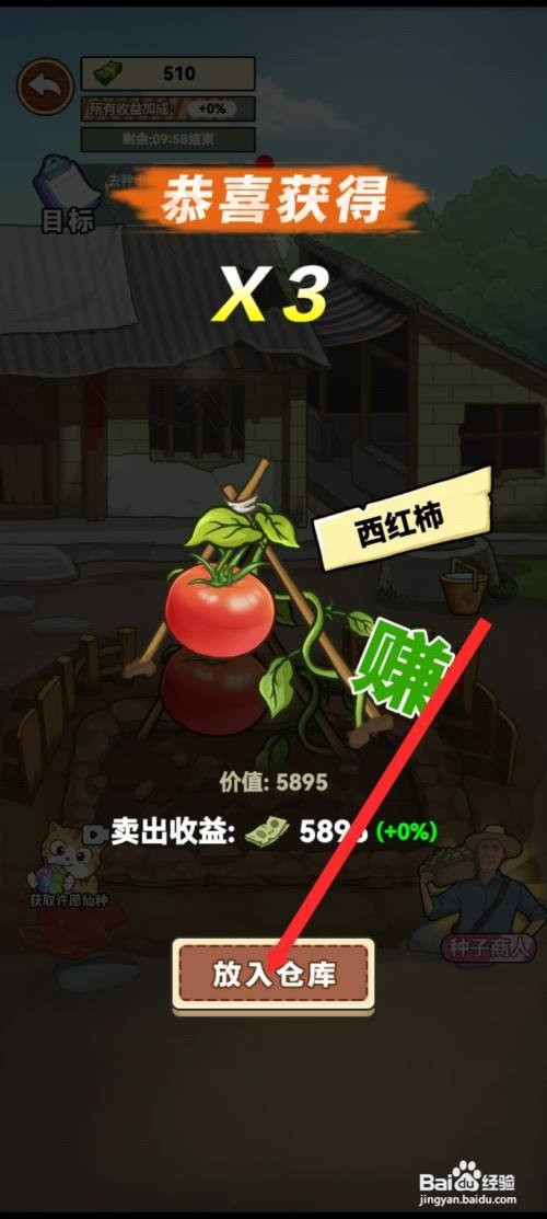 我的乡村生活种植银西红柿如何操作