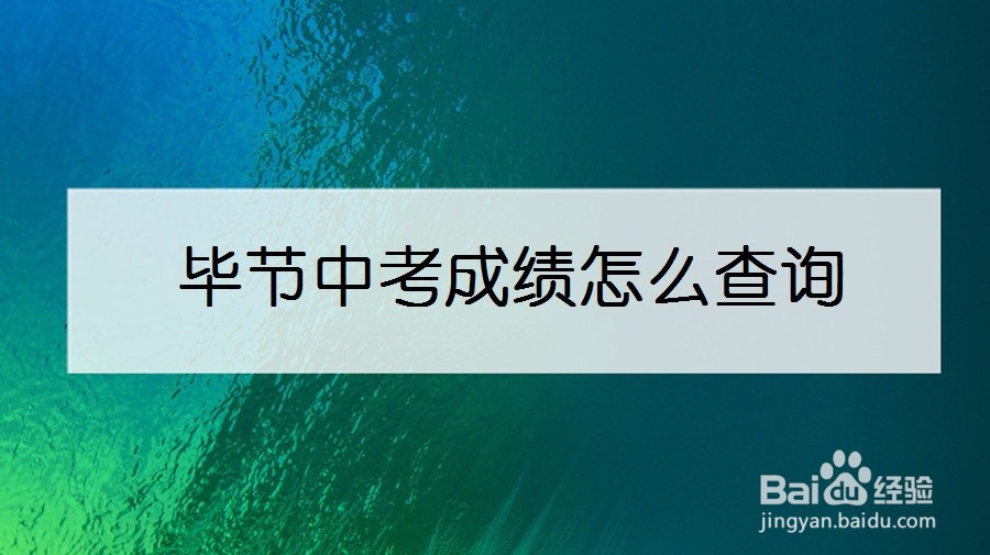 毕节中考成绩怎么查询
