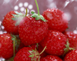 水果排毒与护肤养颜