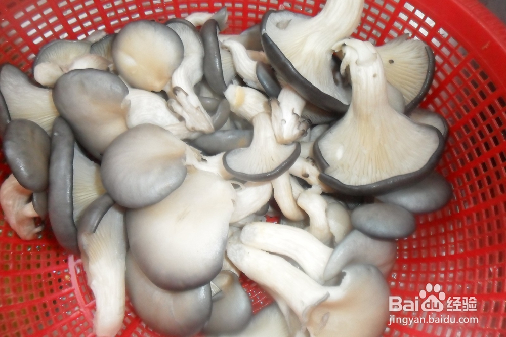 蘑菇鸡蛋的做法