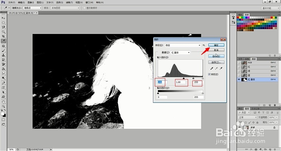 PS技术教程：[10]PS怎么抠图之抠取头发