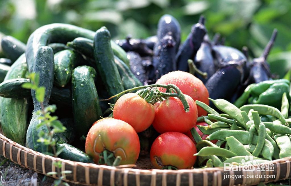 非公企业如何助力脱贫攻坚?