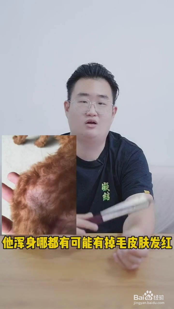 如何肉眼判断狗狗皮肤病