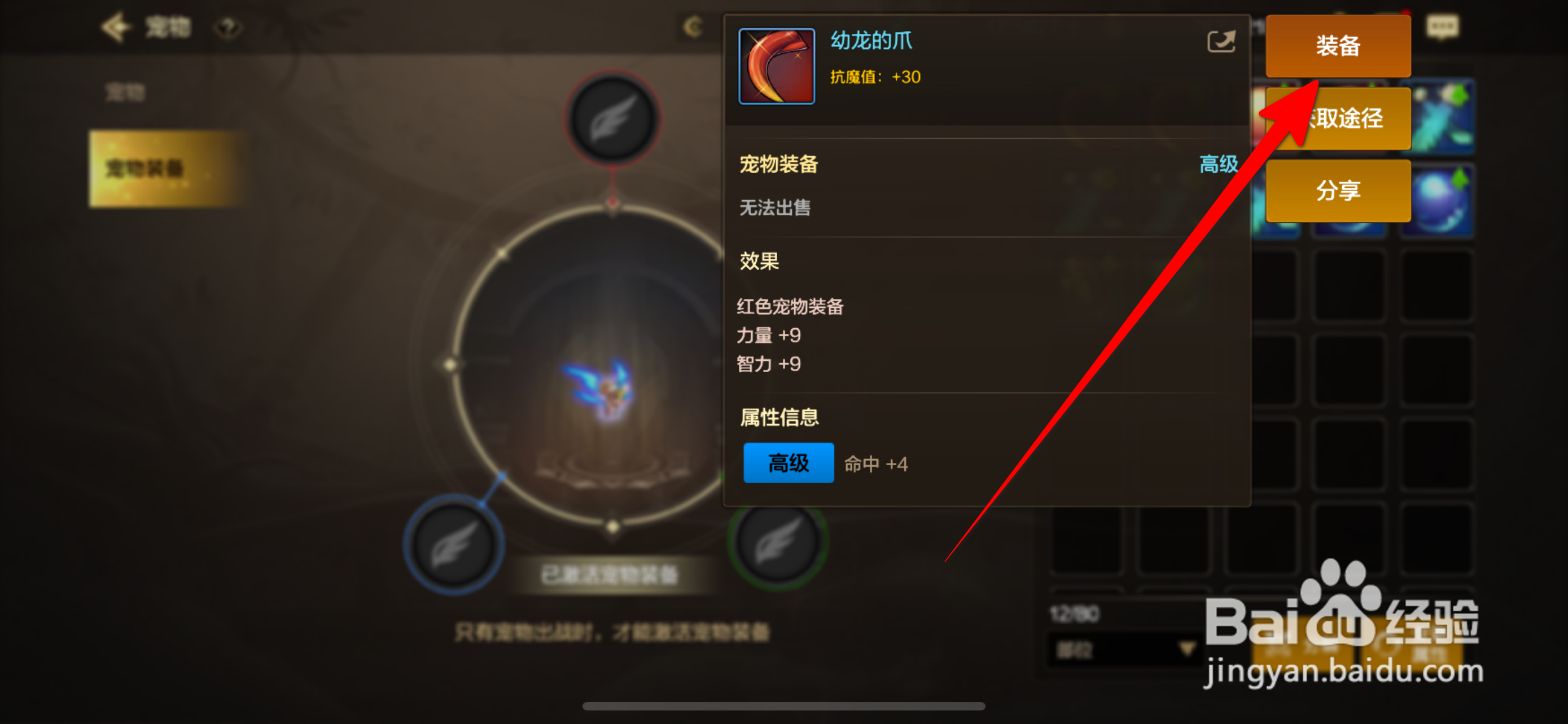 DNF手游怎么给宠物安装装备