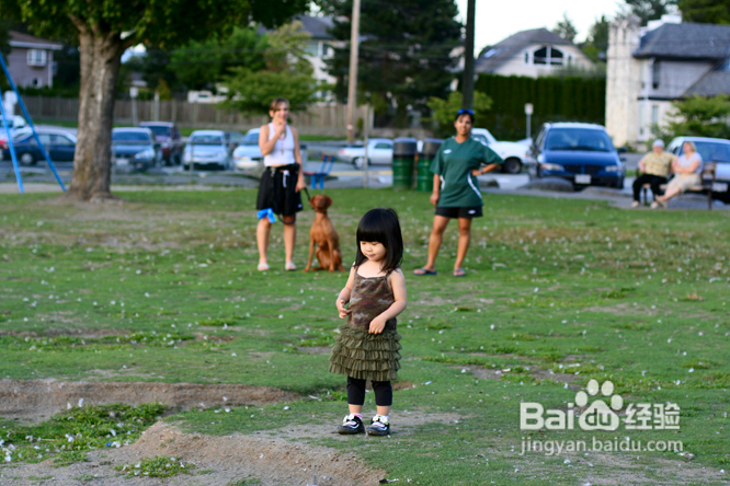 温哥华鹿湖Deer Lake 黄昏漫步(组图)