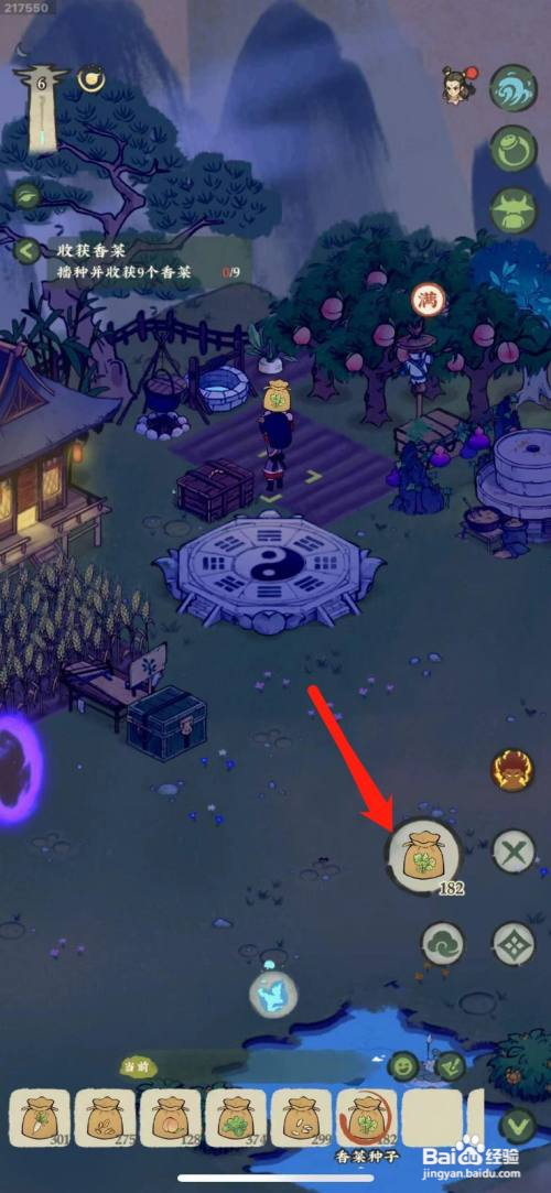 仙山小农怎么种植香菜